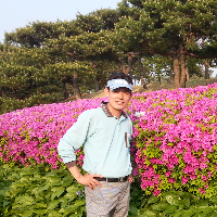 손대복
